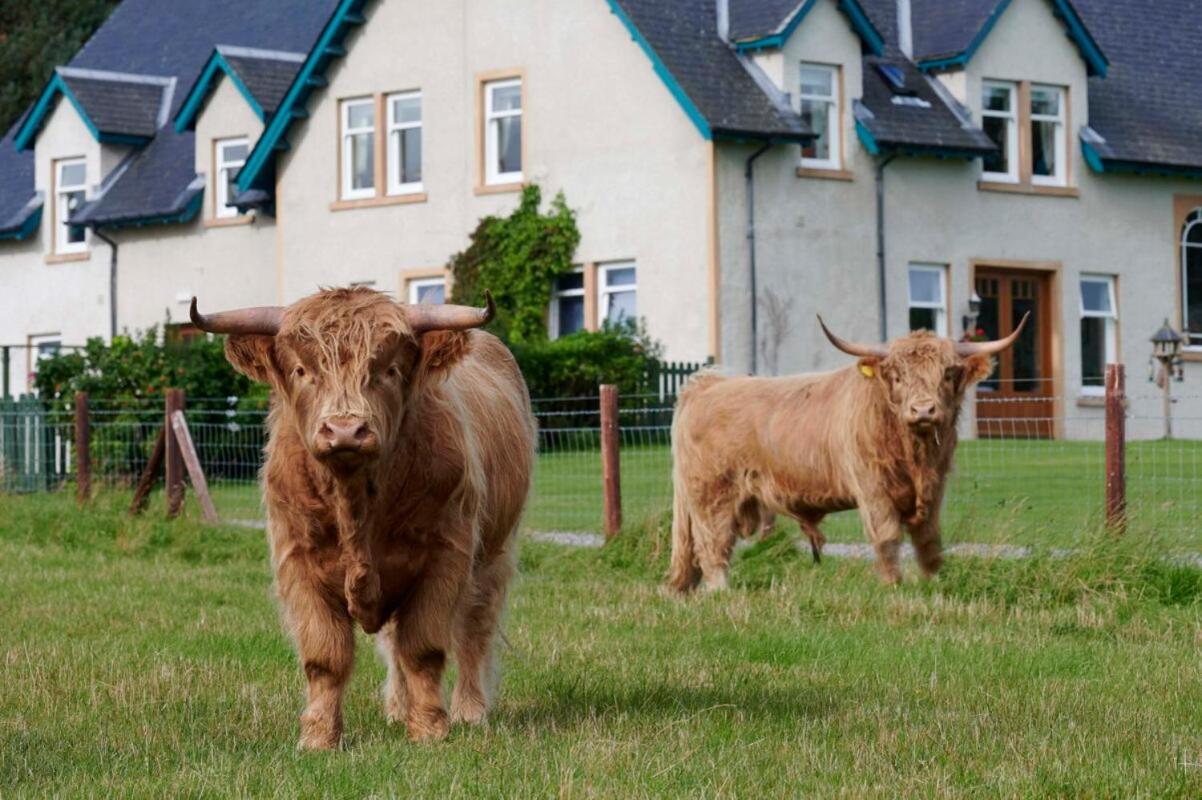 The Mews Apartment At Daviot Lodge - Inverness, Inverness